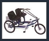 worksman team dual trike
