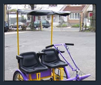 worksman team dual trike